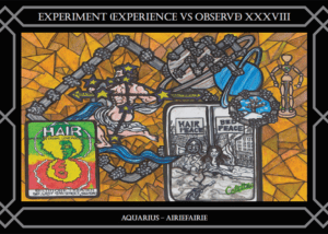 EXPERIMENT XXXVIII(Observe VS Experience)
